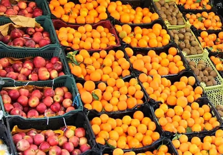 عرضه ۴۰ هزار تن میوه تنظیم بازاری شب عید