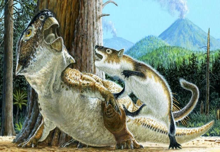 ثبت فسیلی لحظه خاص نبرد مرگبار دایناسور و یک پستاندار کوچک + عکس