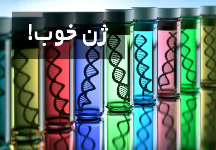 هیچ «ژن همجنس‌گرایی» واحدی وجود ندارد!