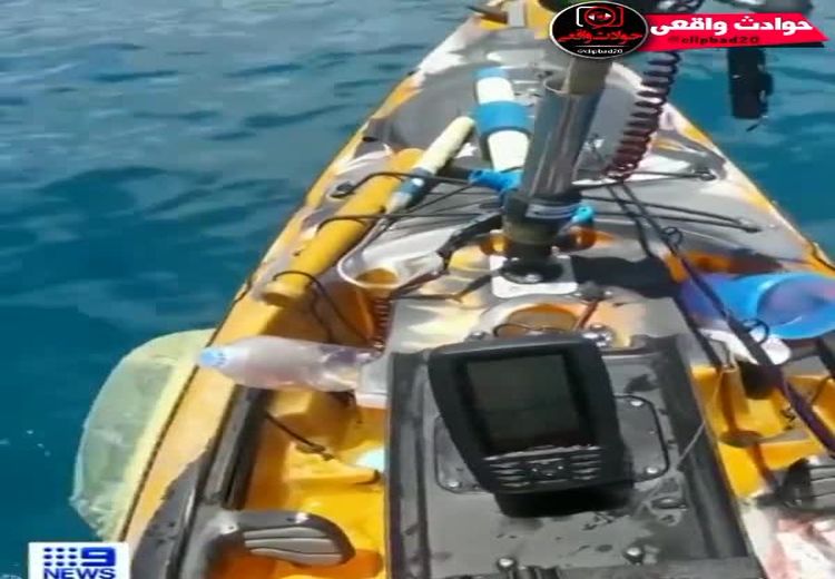حمله وحشتناک کوسه به یک قایقران