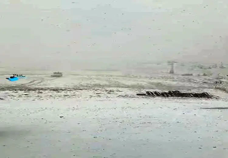 توچال بالاخره برفی شد / فیلم