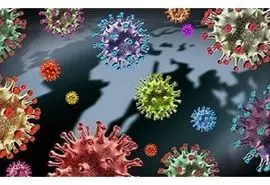 وزارت بهداشت: «کرونای تیغی» بی‌خطر است