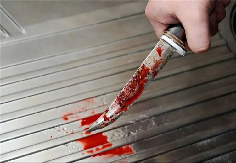 حمله پسر به والدینش با چاقو/ ضبط کردن صدای قاتل توسط خواهرزاده‌اش مدرک 
