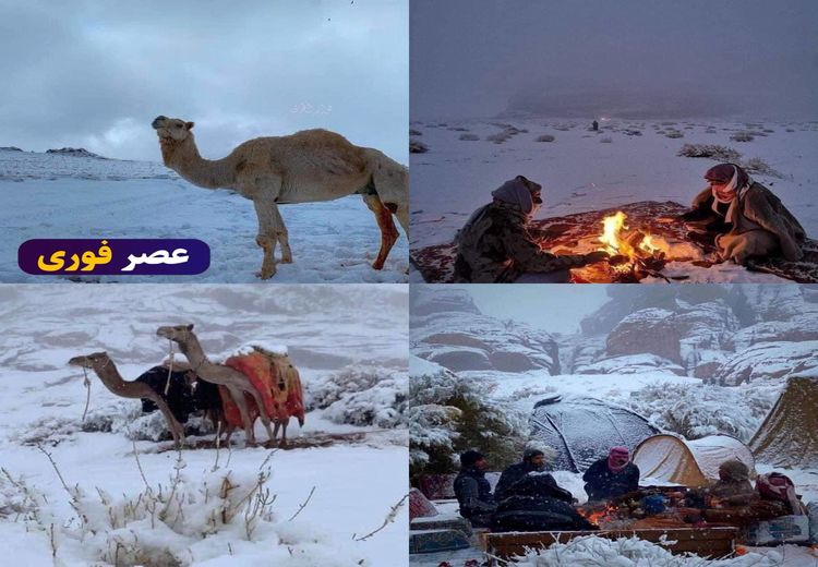 بارش بی سابقه برف در عربستان سعودی!