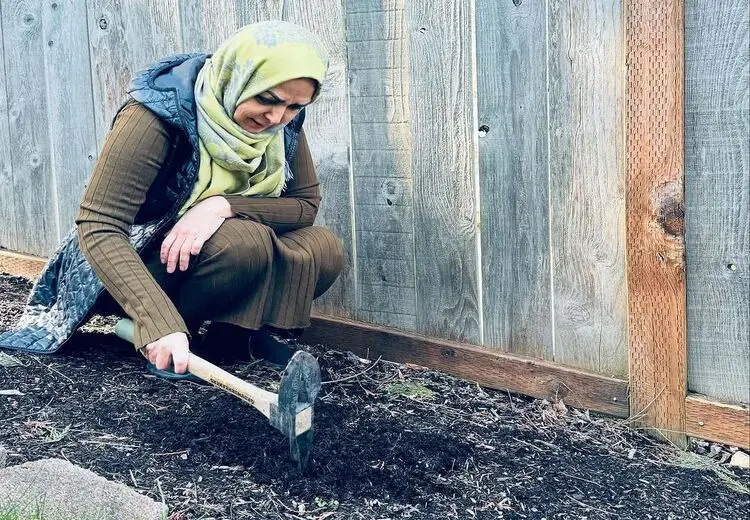 درختکاری خانم مجری در آمریکا