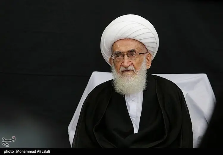 تأکید آیت‌الله نوری‌همدانی بر تسریع در انتخاب رهبری