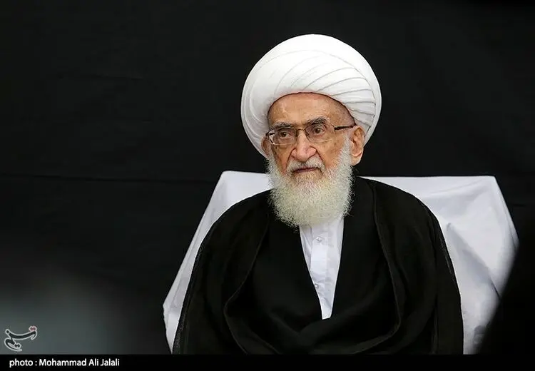 تأکید آیت‌الله نوری‌همدانی بر تسریع در انتخاب رهبری