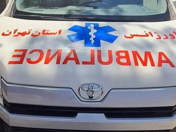 سرقت از آمبولانس در حین نجات یک بیمار قلبی در تهران
 
