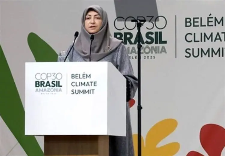 جنجال درخواست ۵۰میلیاردی شینا انصاری برای سفر برزیل!