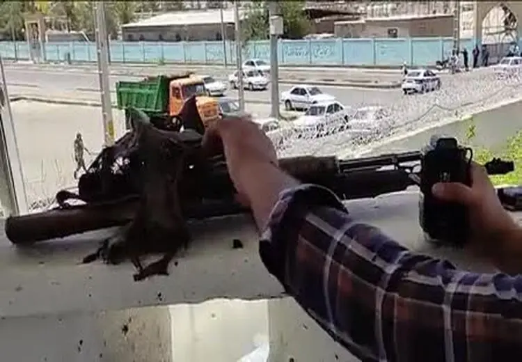 تصاویری از اجساد تروریستهای حمله کننده به کلانتری در زاهدان