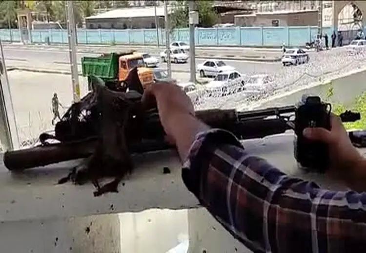 تصاویری از اجساد تروریستهای حمله کننده به کلانتری در زاهدان