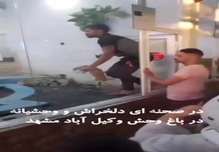 تصاویری از " باغ وحشت " در مشهد!