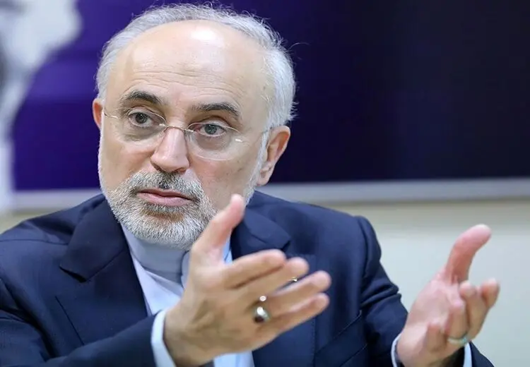  علی‌اکبر صالحی: پروژه UCF را با چینی‌ها شروع کردیم؛ متاسفانه چینی‌ها وسط راه، ما را رها کرده و گفتند آمریکایی ها فشار آوردند و ما لاجرم ترک کردیم!