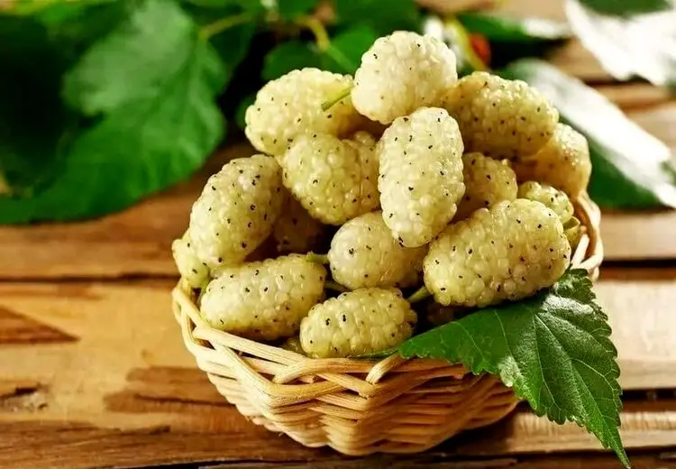 با این میوه به جنگ افسردگی بروید !