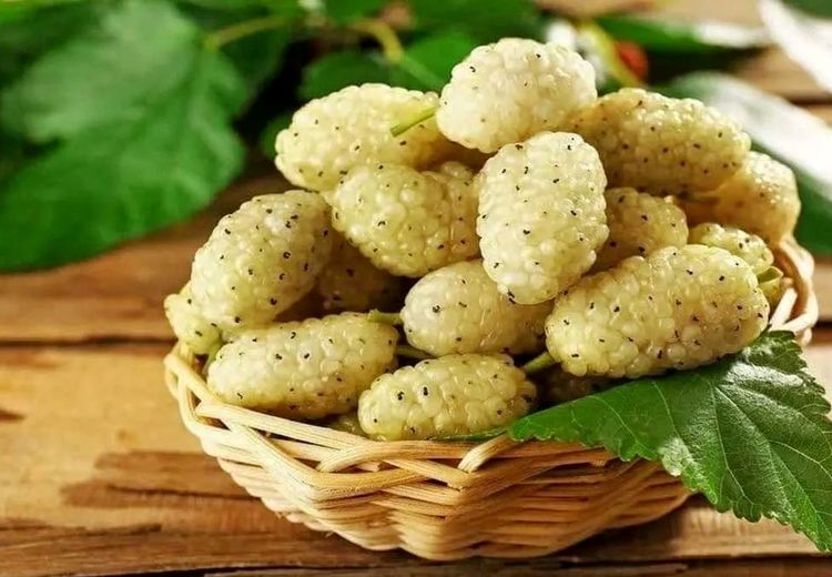 با این میوه به جنگ افسردگی بروید !