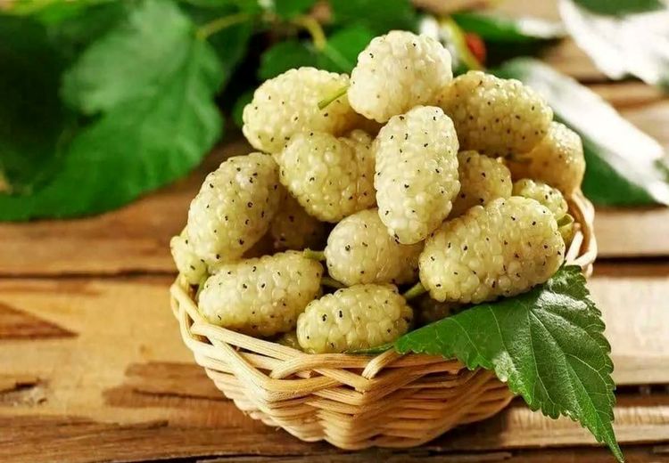 با این میوه به جنگ افسردگی بروید !