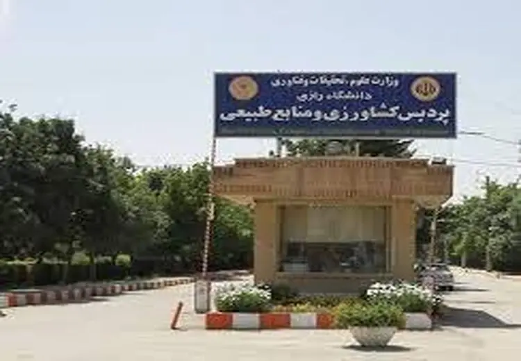 علت کاشت ماری جوانا در دانشکده کشاورزی رازی کرمانشاه چیست؟