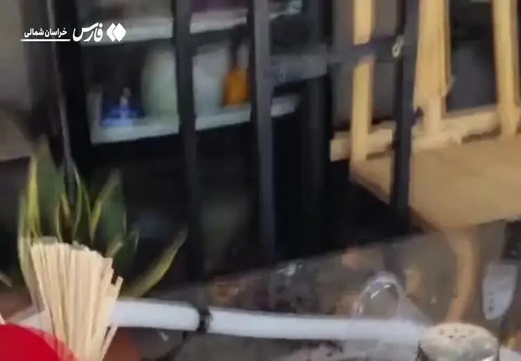 عربده‌کش بجنورد دستگیر شد/ فیلم