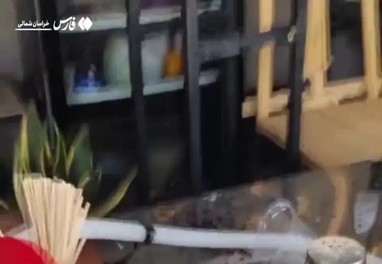 عربده‌کش بجنورد دستگیر شد/ فیلم