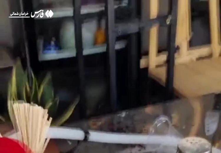 عربده‌کش بجنورد دستگیر شد/ فیلم