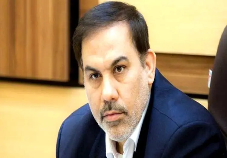 سخنگوی قوه قضائیه: حجت‌الاسلام صدیقی در پرونده فرزند و عروسش تقصیری نداشته است