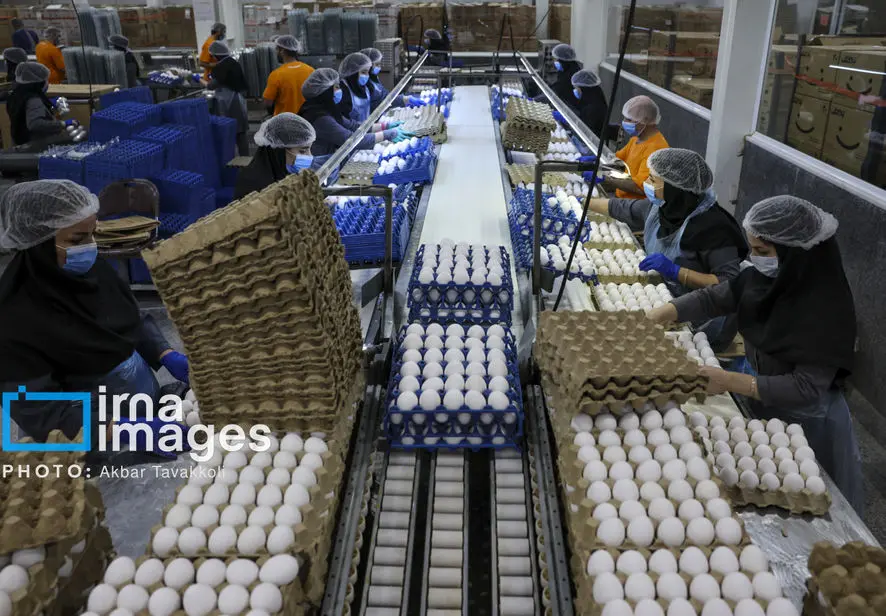 ممنوعیت صادرات چهار محصول تا اطلاع ثانوی