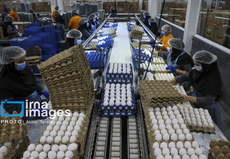 ممنوعیت صادرات چهار محصول تا اطلاع ثانوی