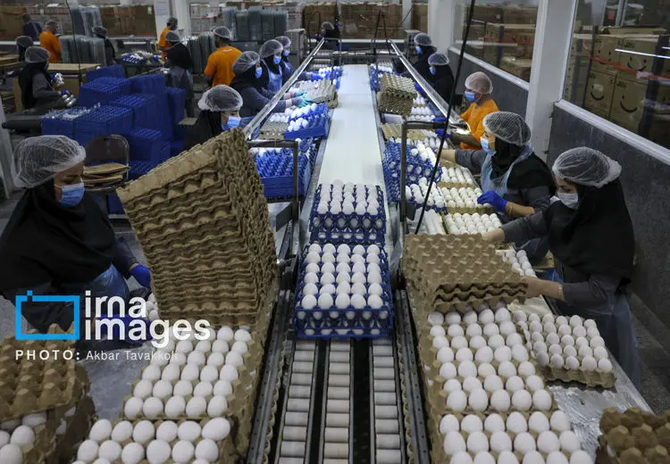 ممنوعیت صادرات چهار محصول تا اطلاع ثانوی