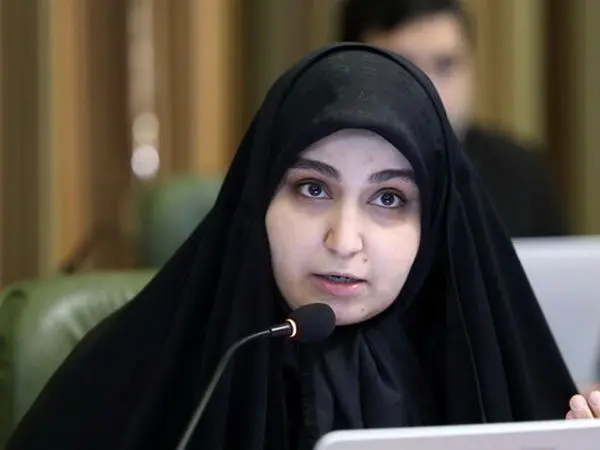درخواست دو عضو شورای شهر تهران از قوه قضاییه: با هتاکان به نرجس سلیمانی برخورد شود