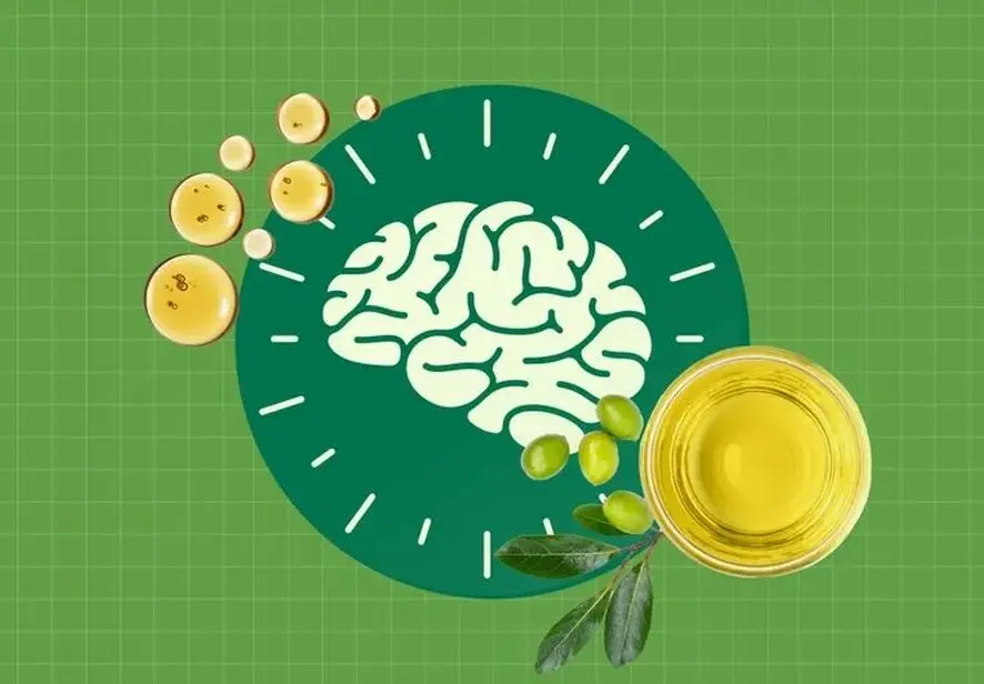آیا روغن زیتون مغز را جوان‌تر نگه می‌دارد؟