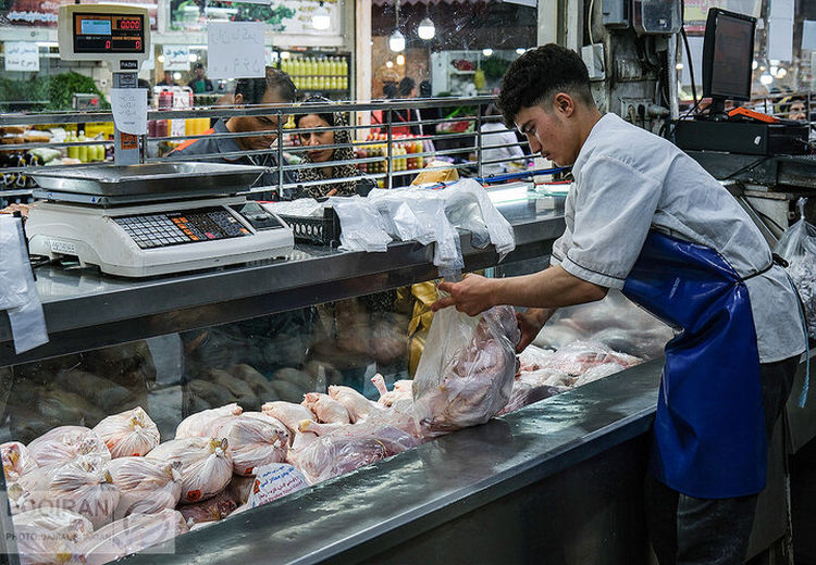 قیمت مرغ و محصولات پروتئینی امروز چند؟ 