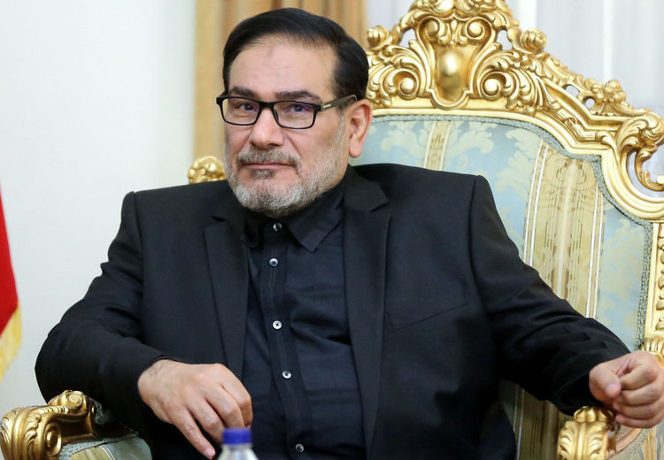 مشاور رهبر انقلاب جواب ترامپ را داد + عکس