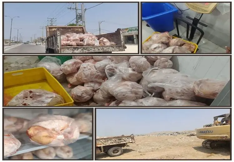۸۰۰ کیلو گوشت فاسد در شهر درگهان قشم کشف و معدوم شد 


