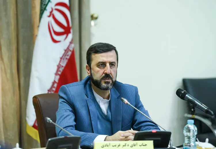 حکم معاونت وزیر خارجه برای غریب آبادی 