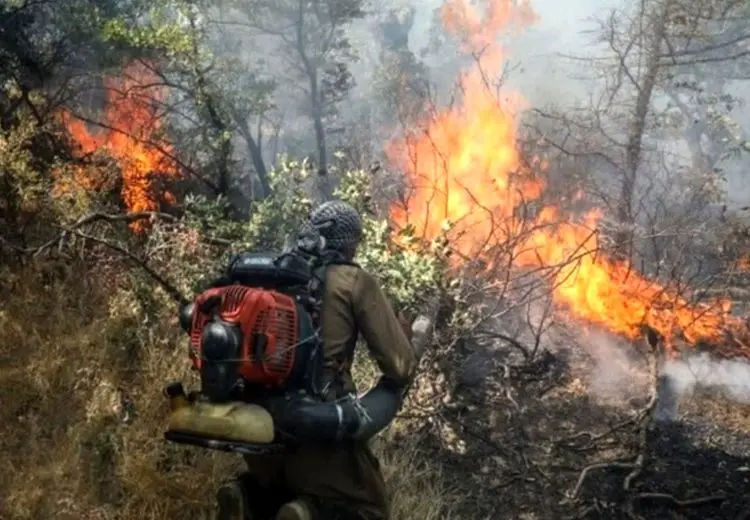 پنج هکتار از عرصه‌های جنگلی گیلان دچار حریق شد + فیلم