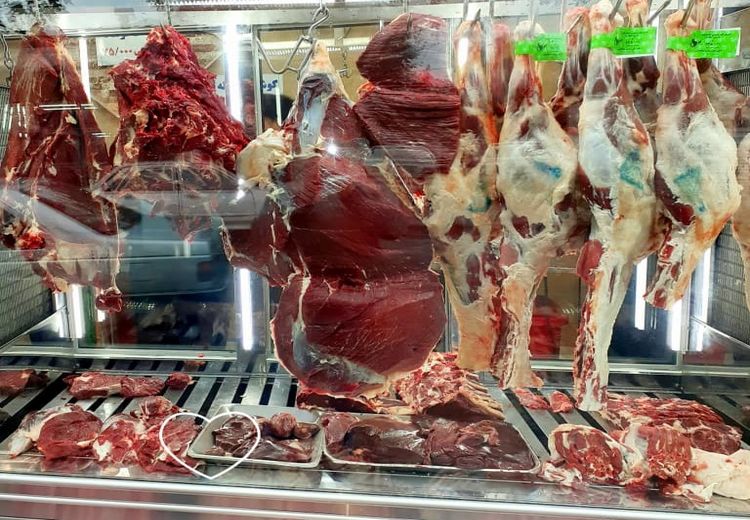 سقوط ۴۰ تا ۶۰ درصدی فروش گوشت به علت نبود خریدار