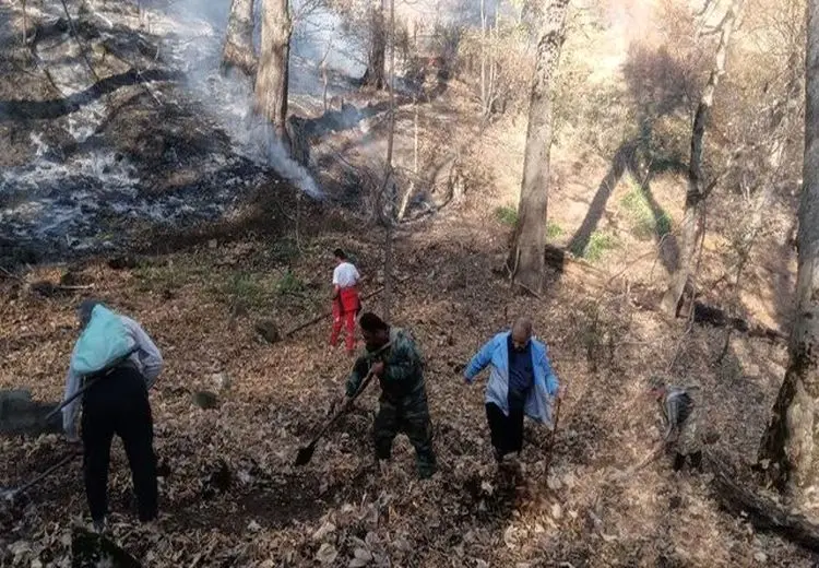 جنگل گلستان هم آتش گرفت