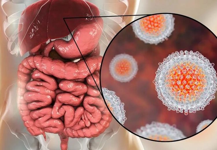 هپاتیت A در جمهوری چک جان ۱۰ نفر را گرفت