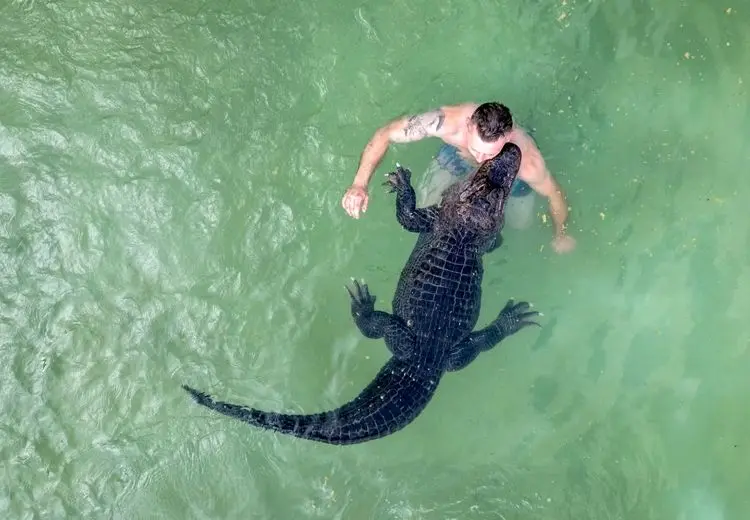 شنا با تمساح!