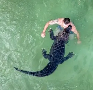 شنا با تمساح!