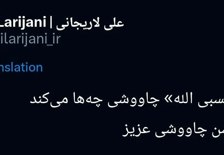 تحسین آهنگ جدید محسن چاوشی توسط علی لاریجانی