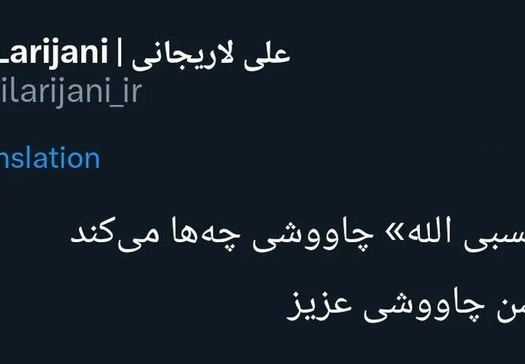 تحسین آهنگ جدید محسن چاوشی توسط علی لاریجانی