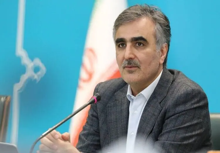 فرزین: دولت، مهمترین عامل ناترازی بانک‌ها است