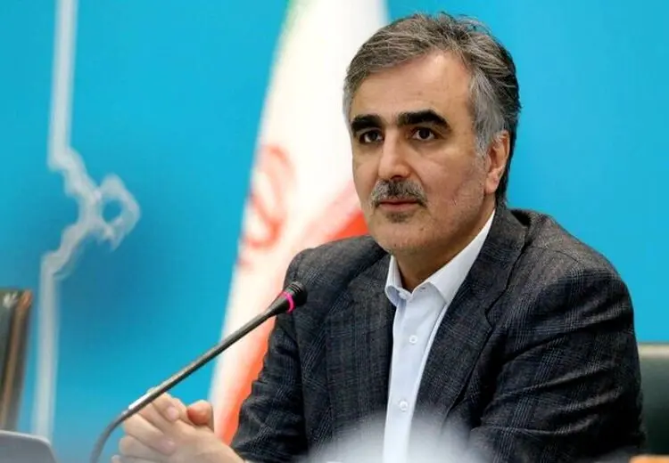 فرزین: دولت، مهمترین عامل ناترازی بانک‌ها است