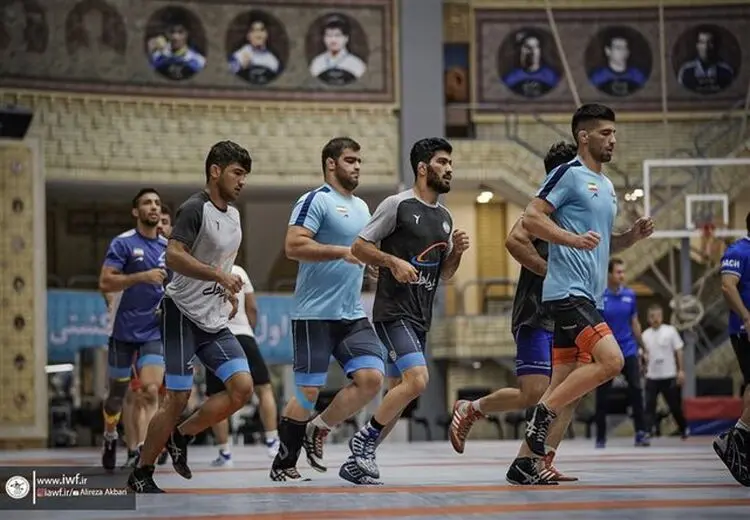 دعوت از ۱۵ فرنگی‌کار به اردوی تیم ملی 