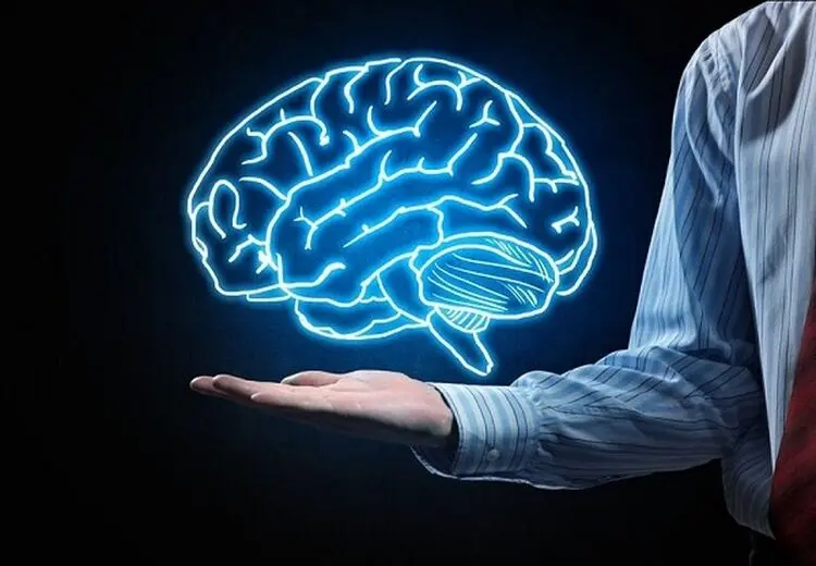 سلامت مغز به کمک چربی‌ها