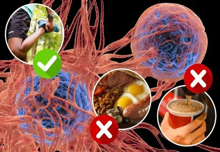 با هفت تغییر ساده در سبک زندگی از سرطان پیشگیری کنید