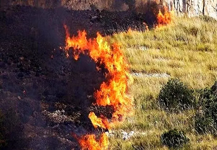 ۲۵ هزار هکتار از هورالعظیم سوخت!