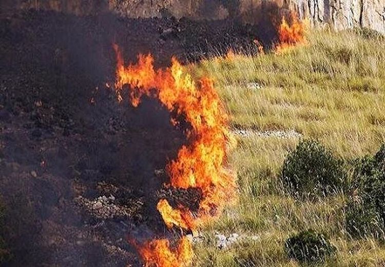 ۲۵ هزار هکتار از هورالعظیم سوخت!