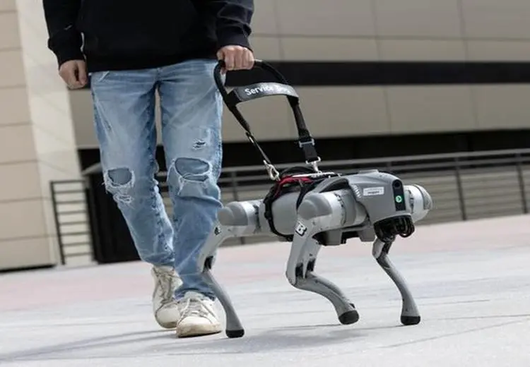 سگ روباتیک راهنمای نابینایان می‌شود